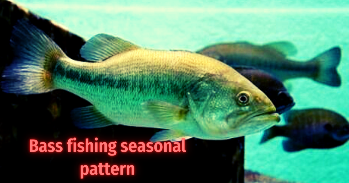 ブラックバスが釣れるシーズンは シーズナルパターンを学ぼう 釣りたいバス釣り日記 Neo Bass Fishing Diary You Want To Fish